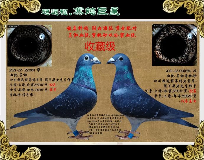ɳNһ