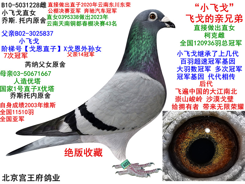 СwֱŮϹQِ܊ĸH
