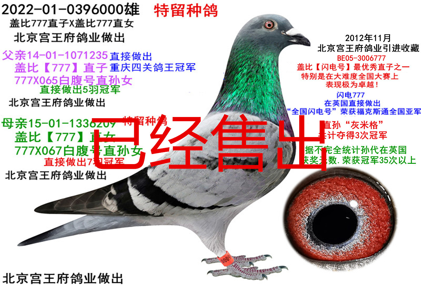 wW777ֱXW777ֱŮ