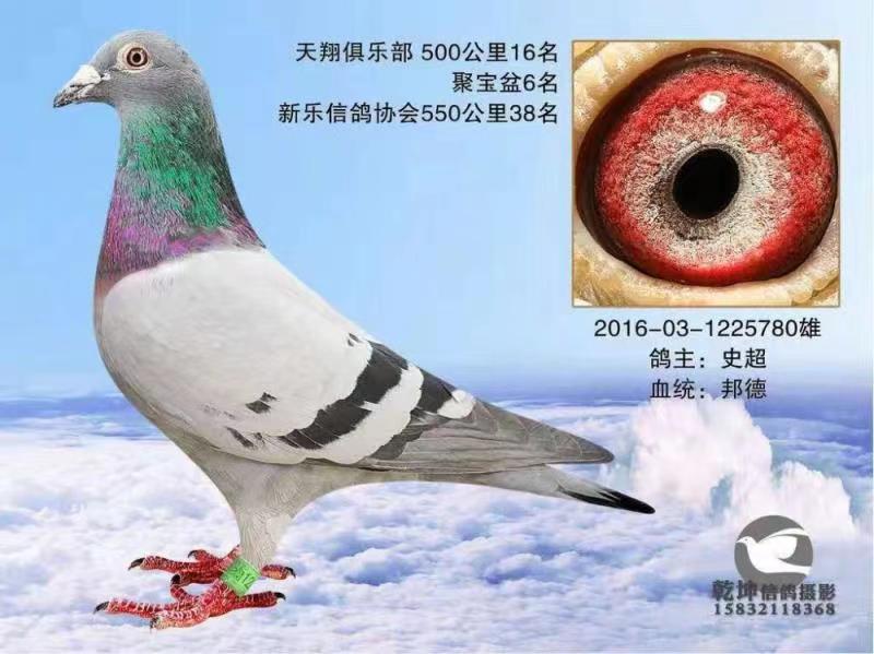 780