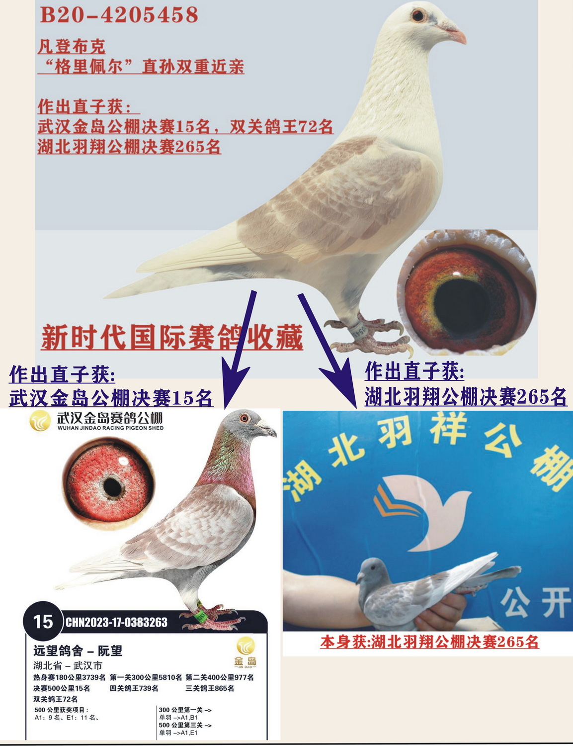 堖ֱOhuQِ15֮