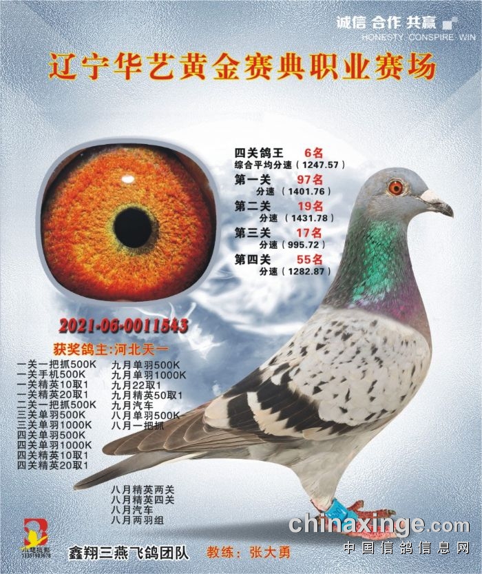 21年遼寧華藝黃金賽典四關(guān)鴿王6名