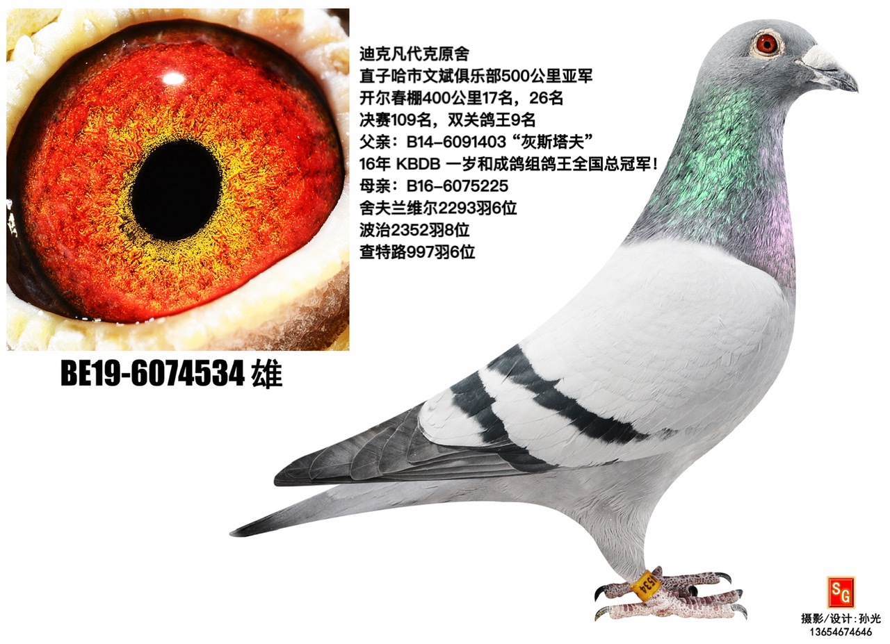 534