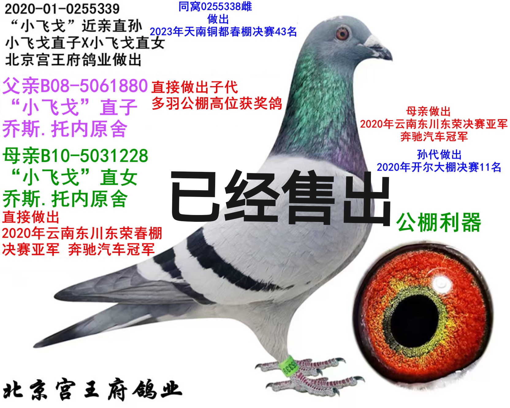 Сw ֱO