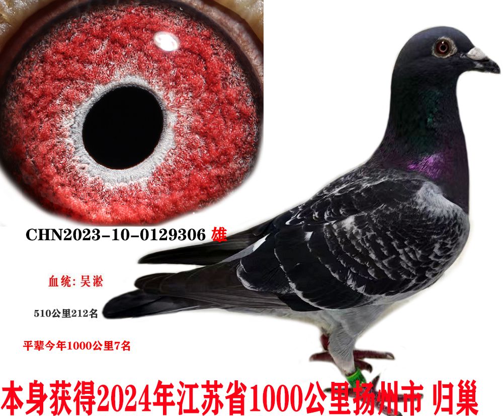 67b755916e019ebcd5ff3db1e6b4412
