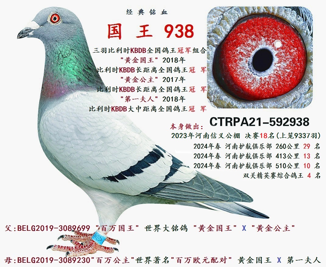   938