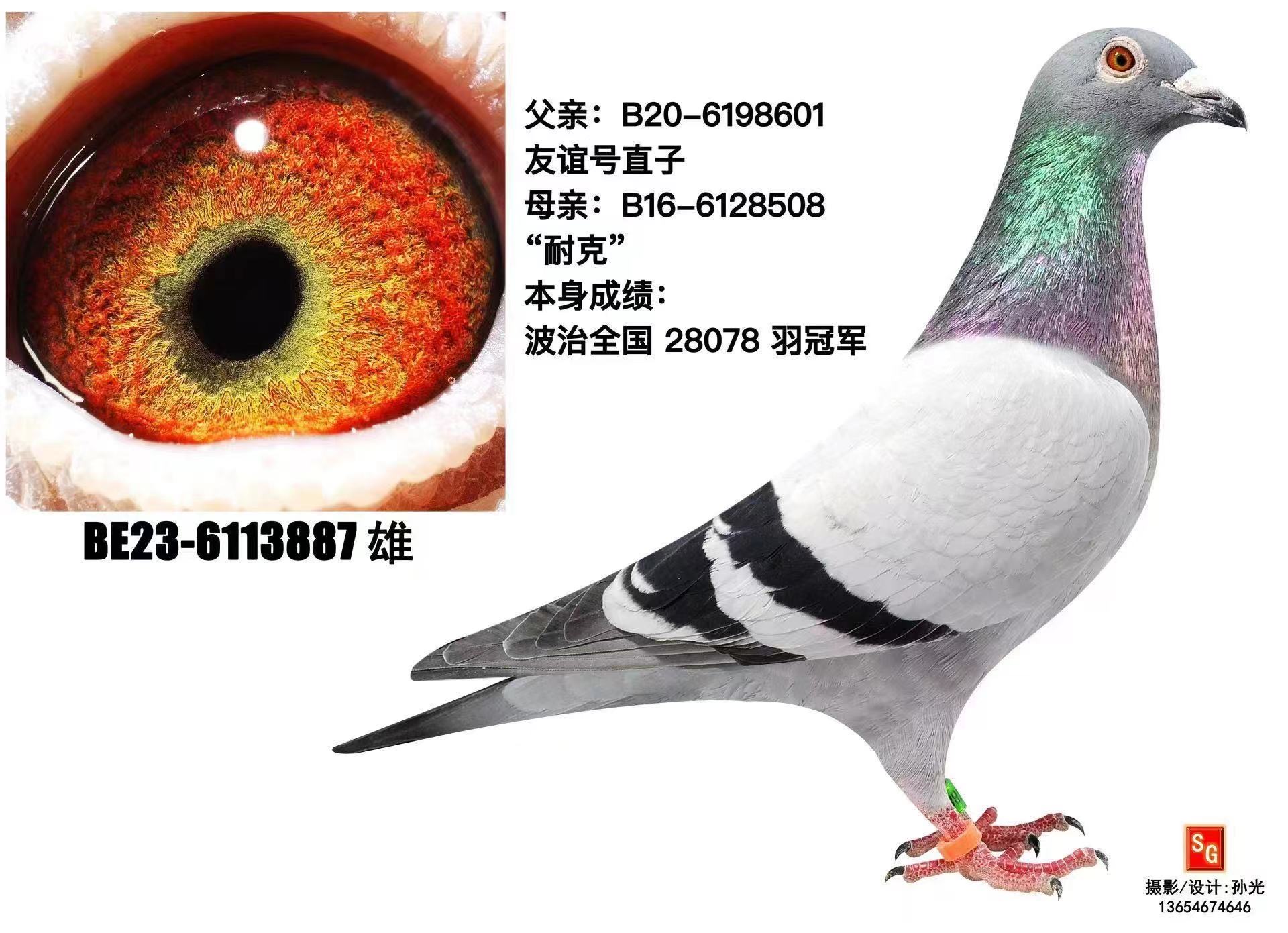 Ϳֱ