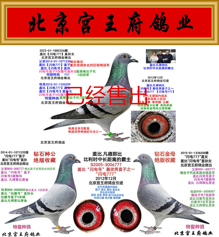 777ֱX777ֱŮ