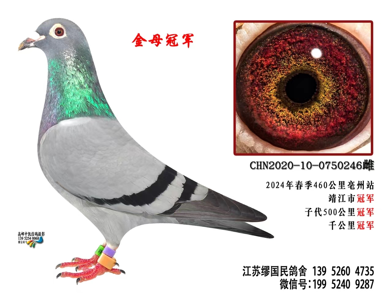 CHN-2020-10-0750246