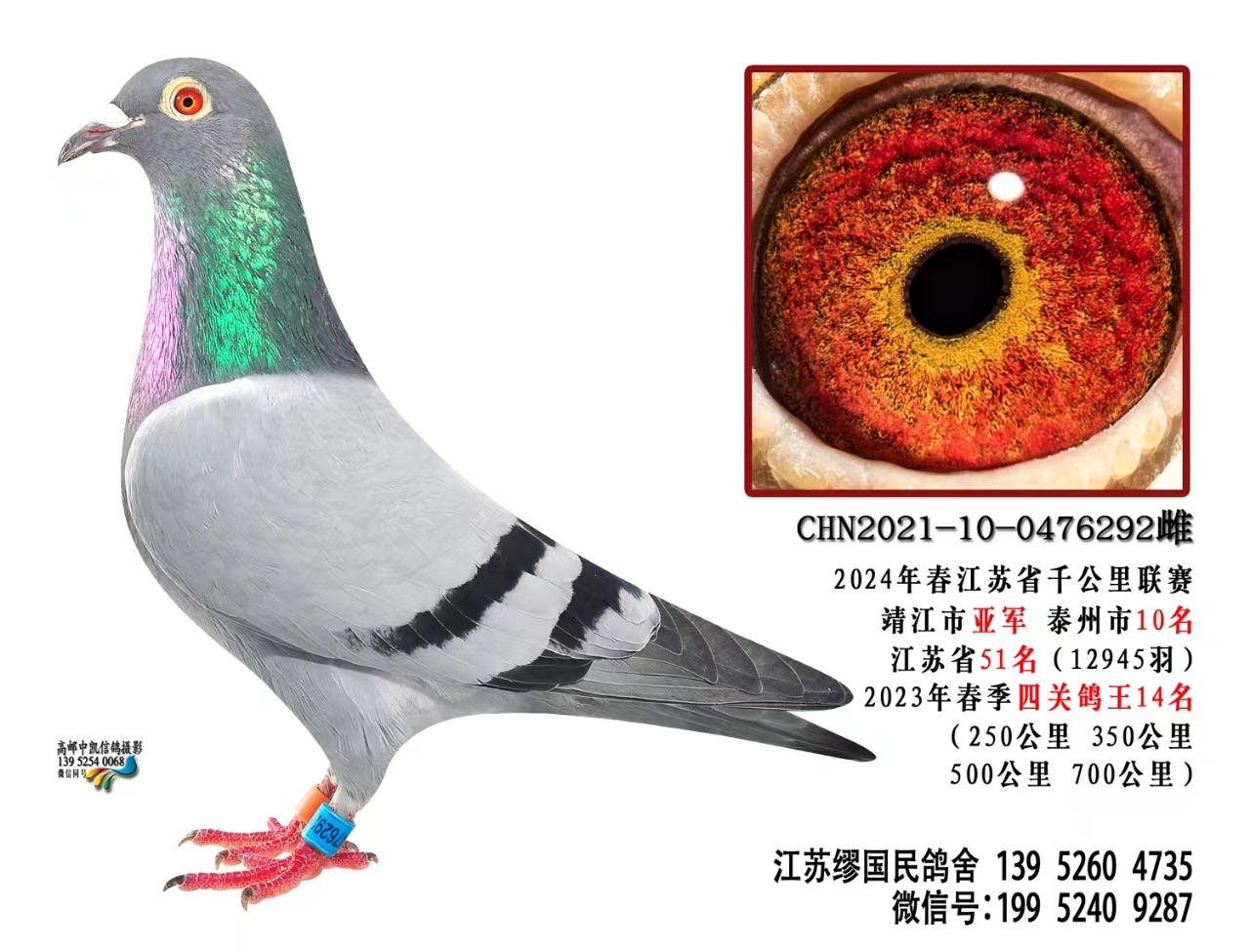 CHN2021-10-0476292