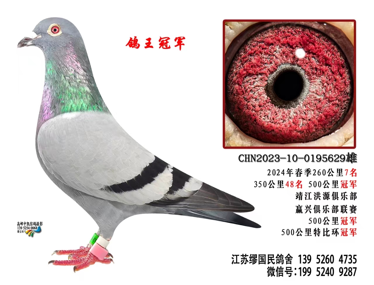 CHN2023-10-0195629
