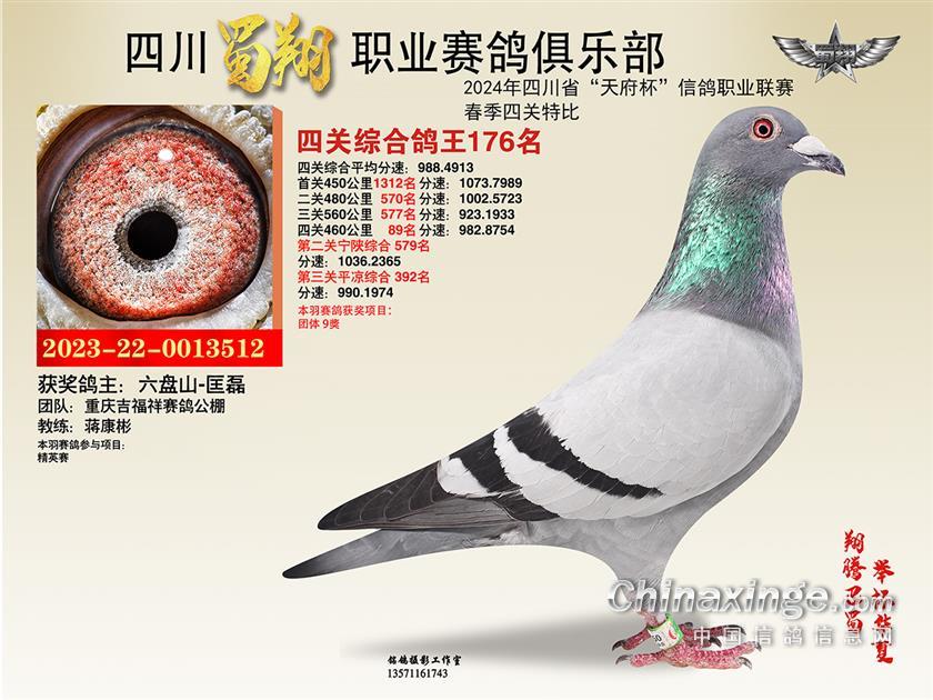 ĴI(y)ِ㘷P(gun)C176