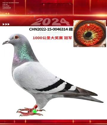 1000܊