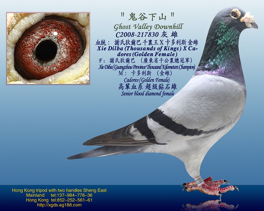 ȡxϵҠ