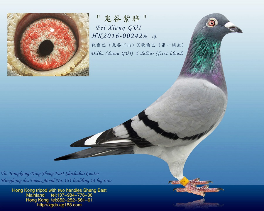 ȡxϵҠ