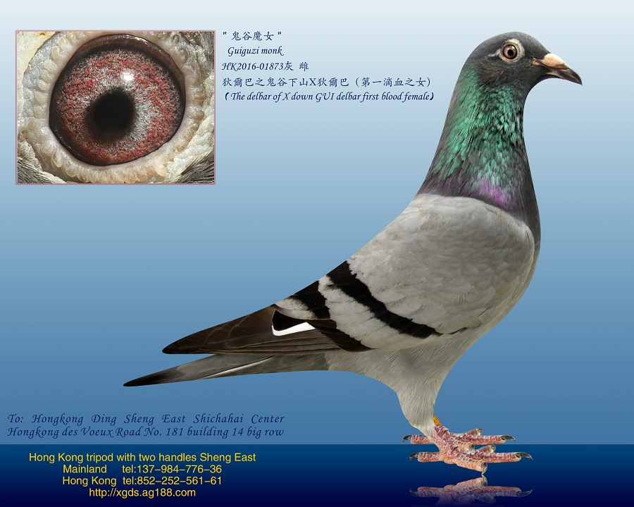 ȡxϵҠ