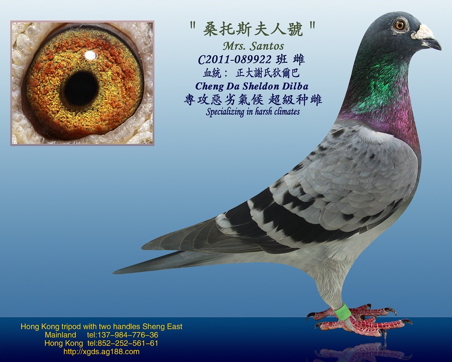 ̩xϵҠ͡Ѫ