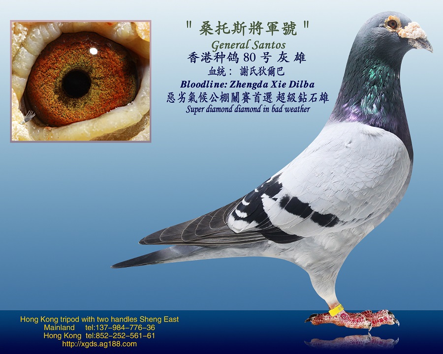 ̩xϵҠ͡Ѫ