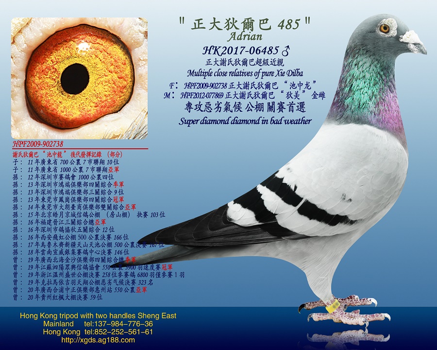 ̩xϵҠ͡Ѫ