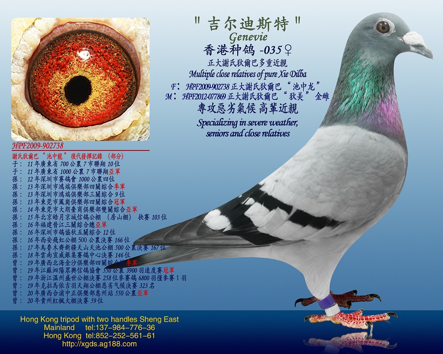 ̩(gu)xϵҠ͡Ѫ
