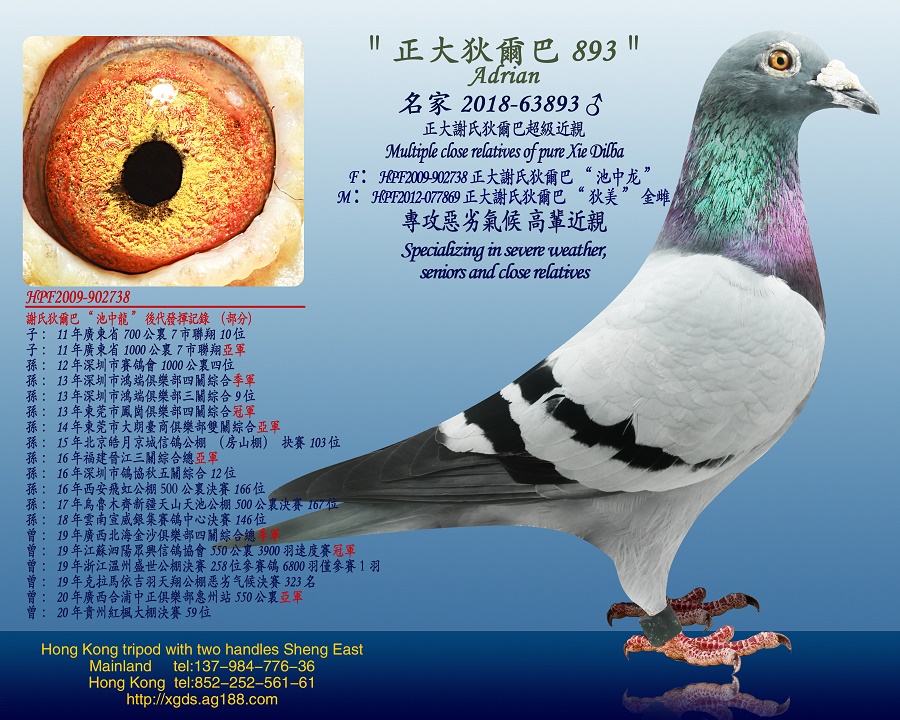 ̩xϵҠ͡Ѫ