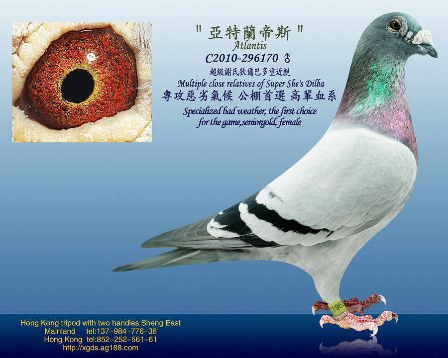 ̩(gu)xϵҠ͡Ѫ