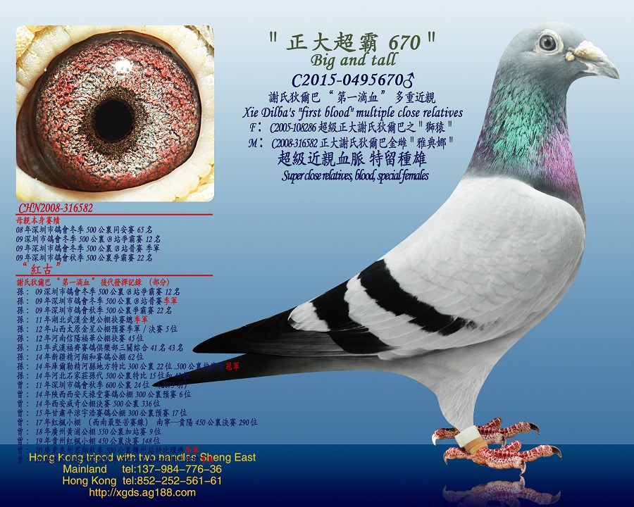 x/Ҡ͡һѪϵ