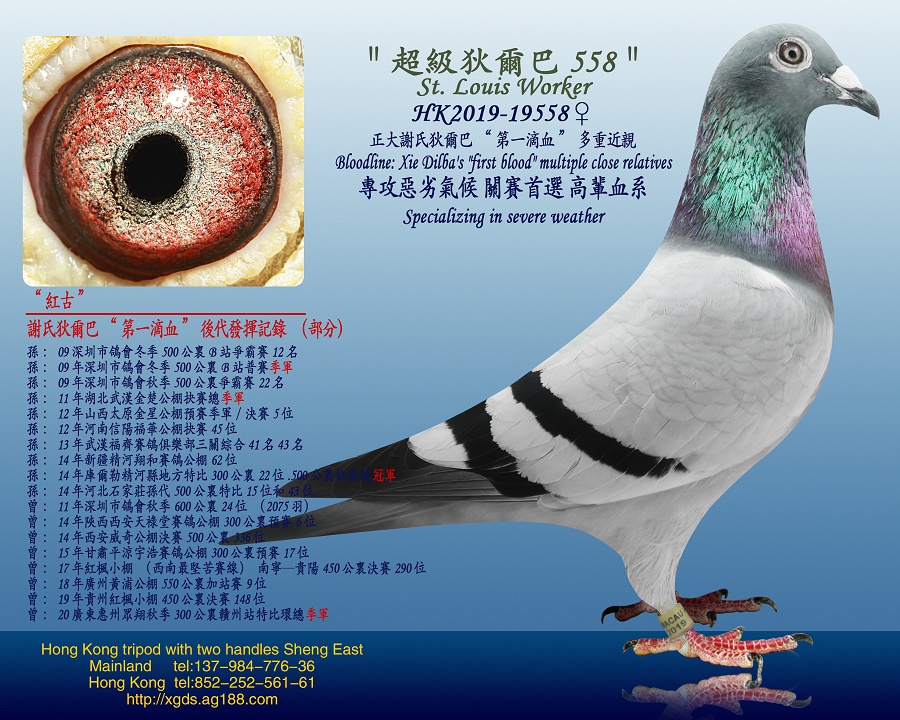 x/Ҡ͡һѪϵ
