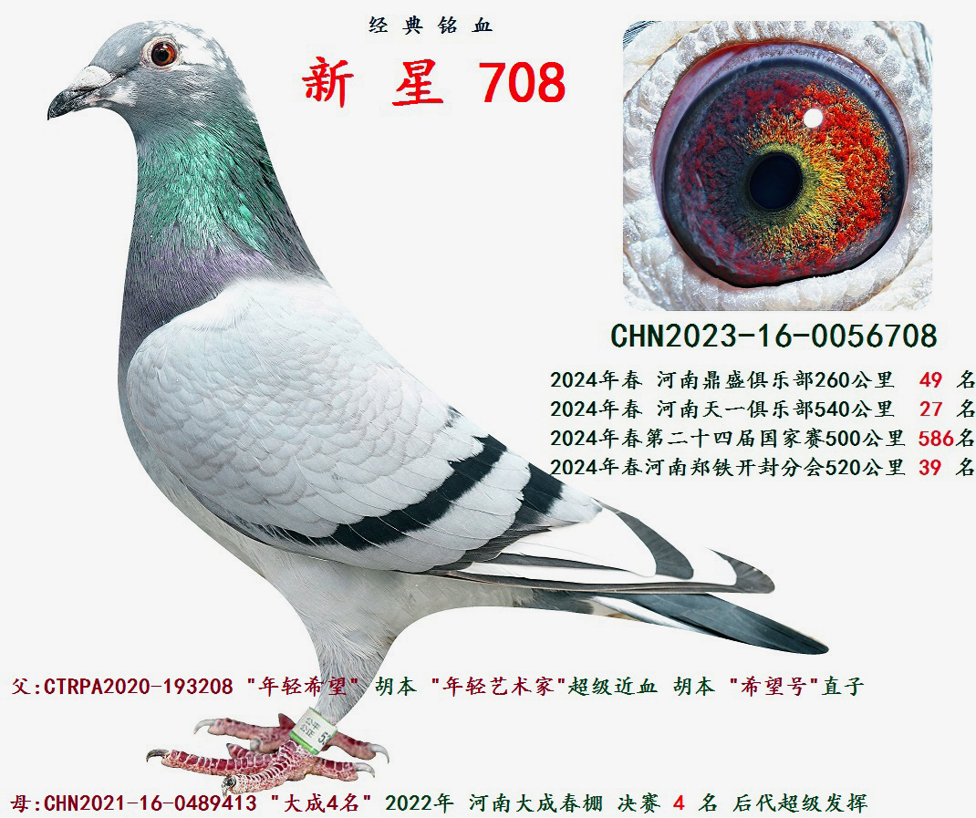 2024괺 540 27 
