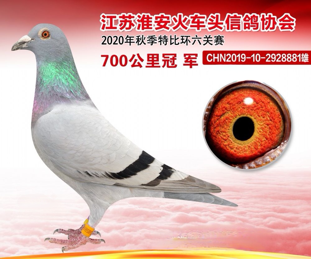 K700܊