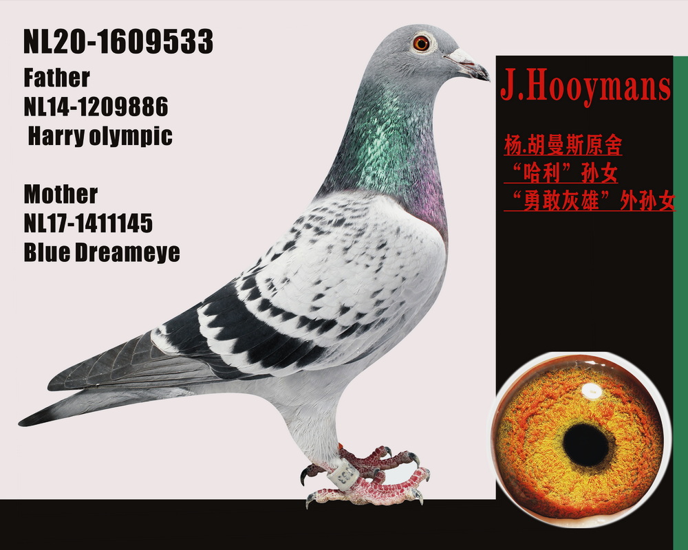.˹ԭ ¸һOŮOŮ
