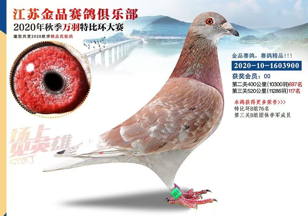 Ӱ桪Ʒt
