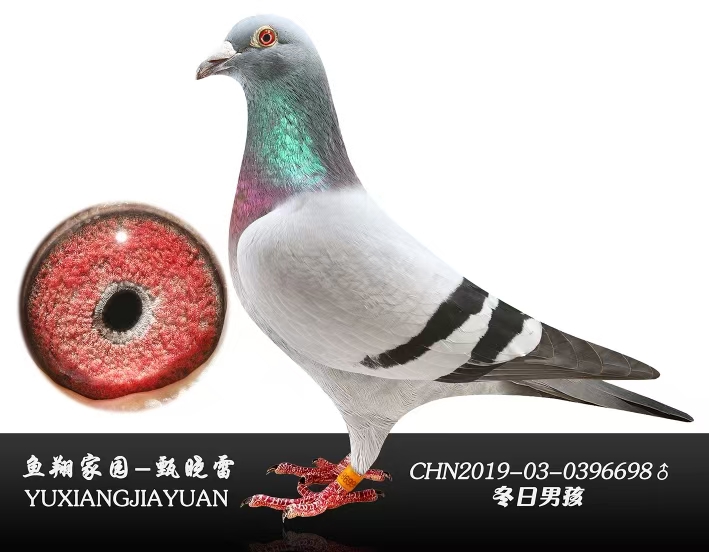 кӴ