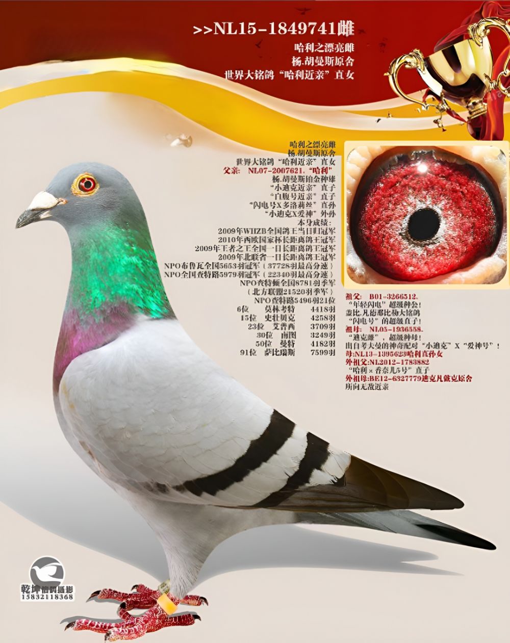 .˹ֱŮ