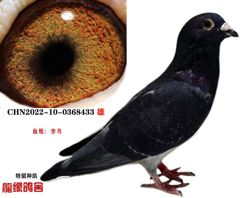 B04