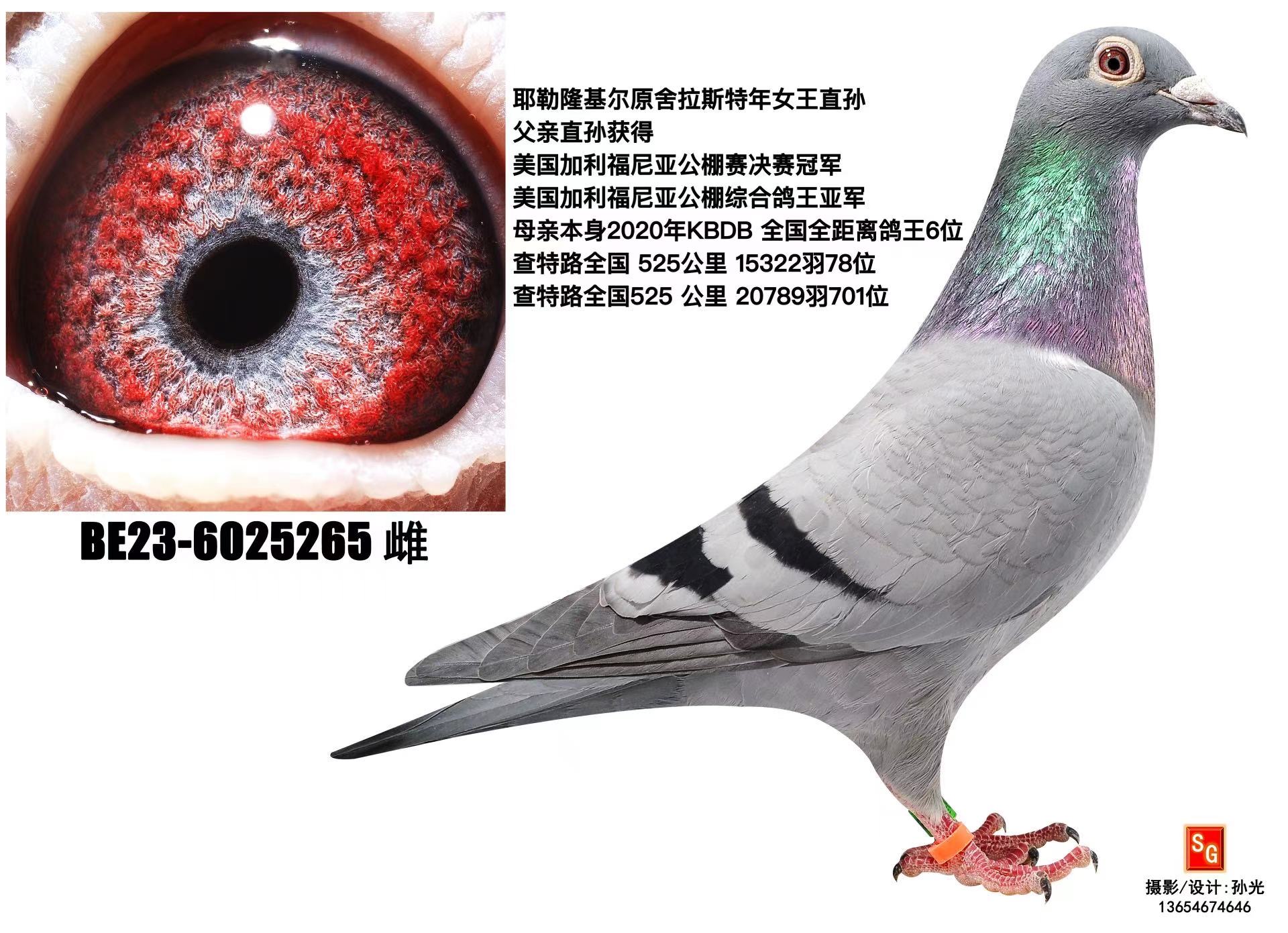 ŮֱOŮ