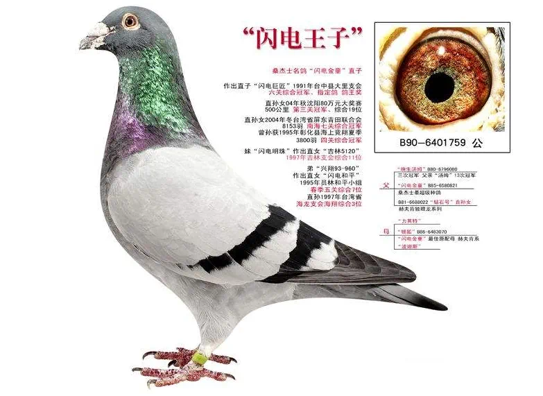 Wӡ  W늽ֱͯ