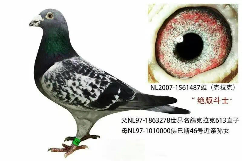 ^涷ʿ