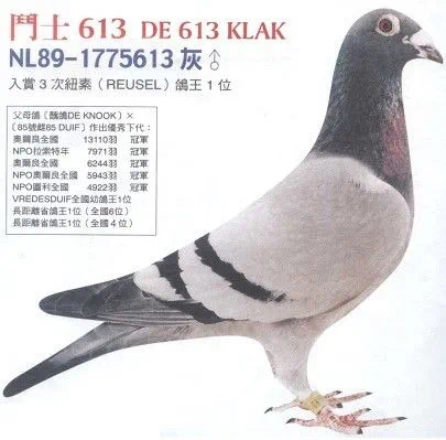 ʿ
