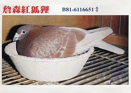 ղɭt؂