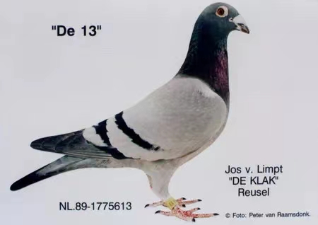 613