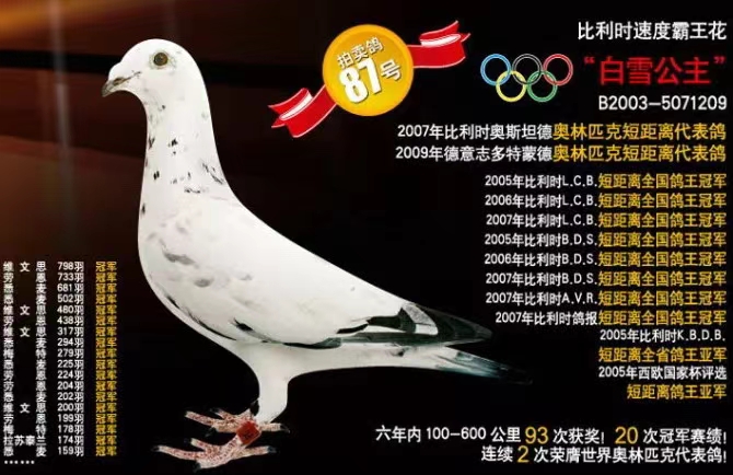 ѩ