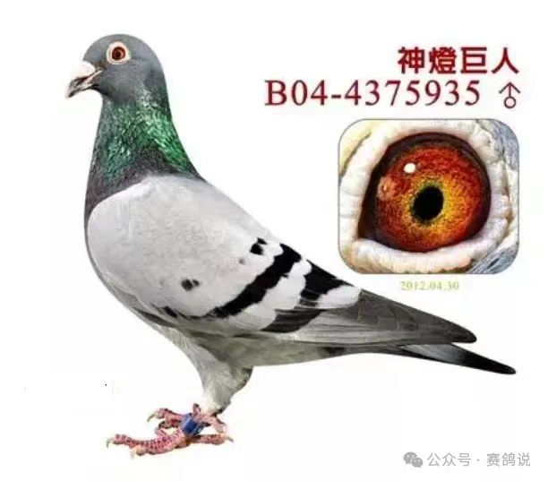 ˡ