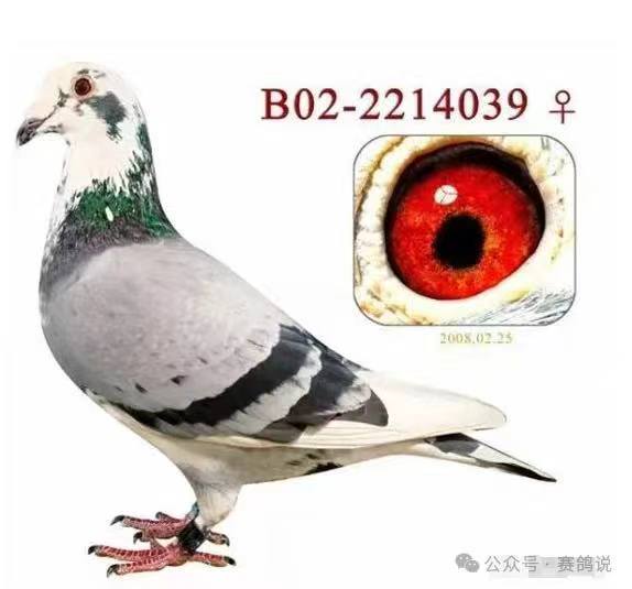 ľm d^199O