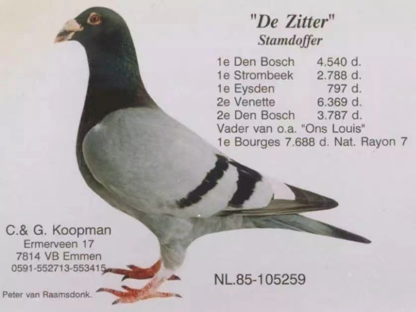 ҂·ס