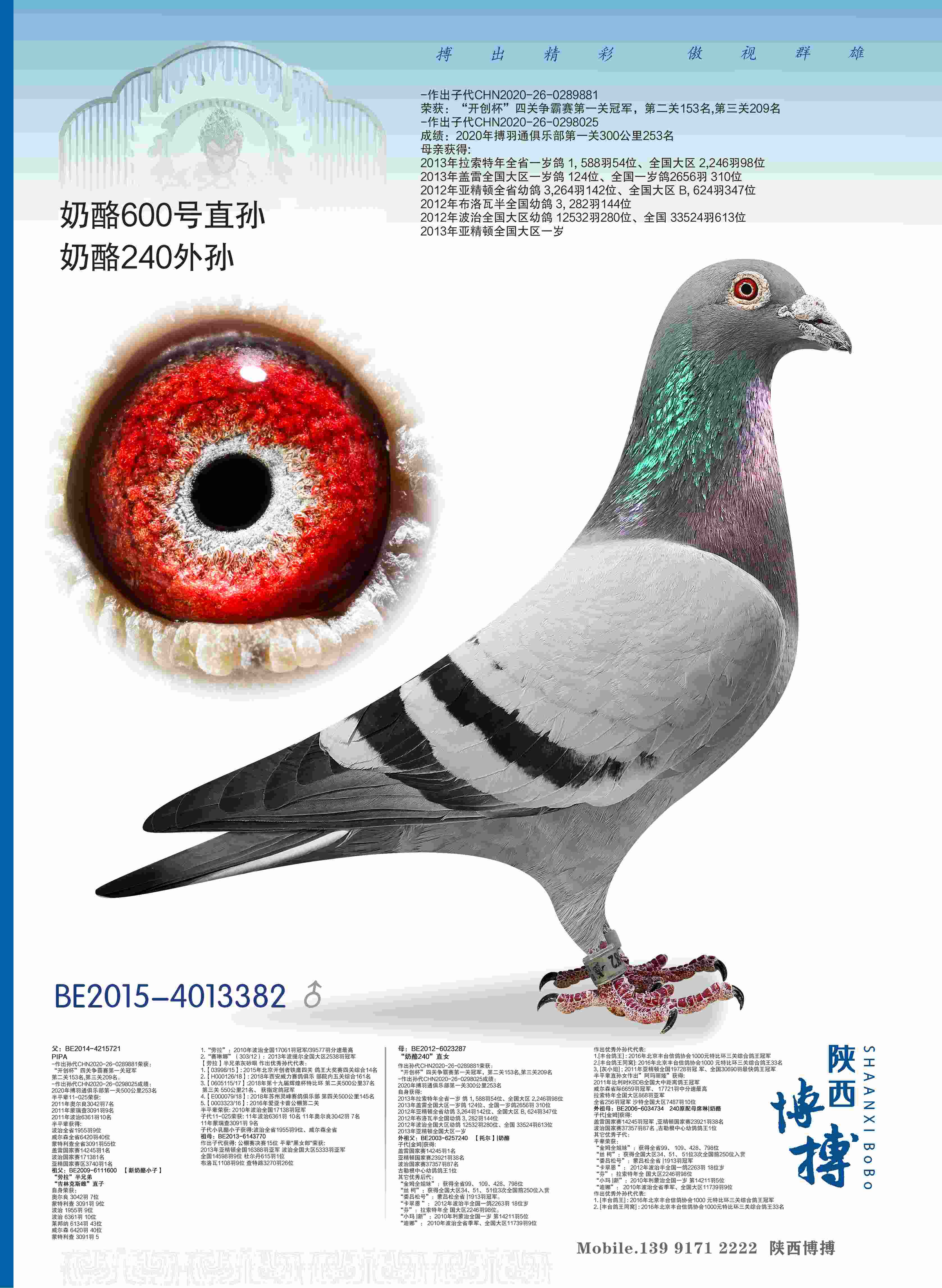 600ֱ̖O