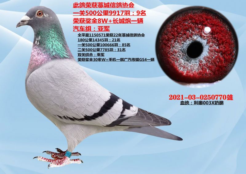 5009