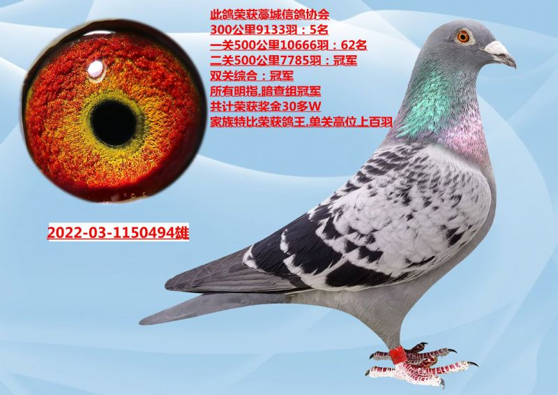 3005500ﳬٹ܊