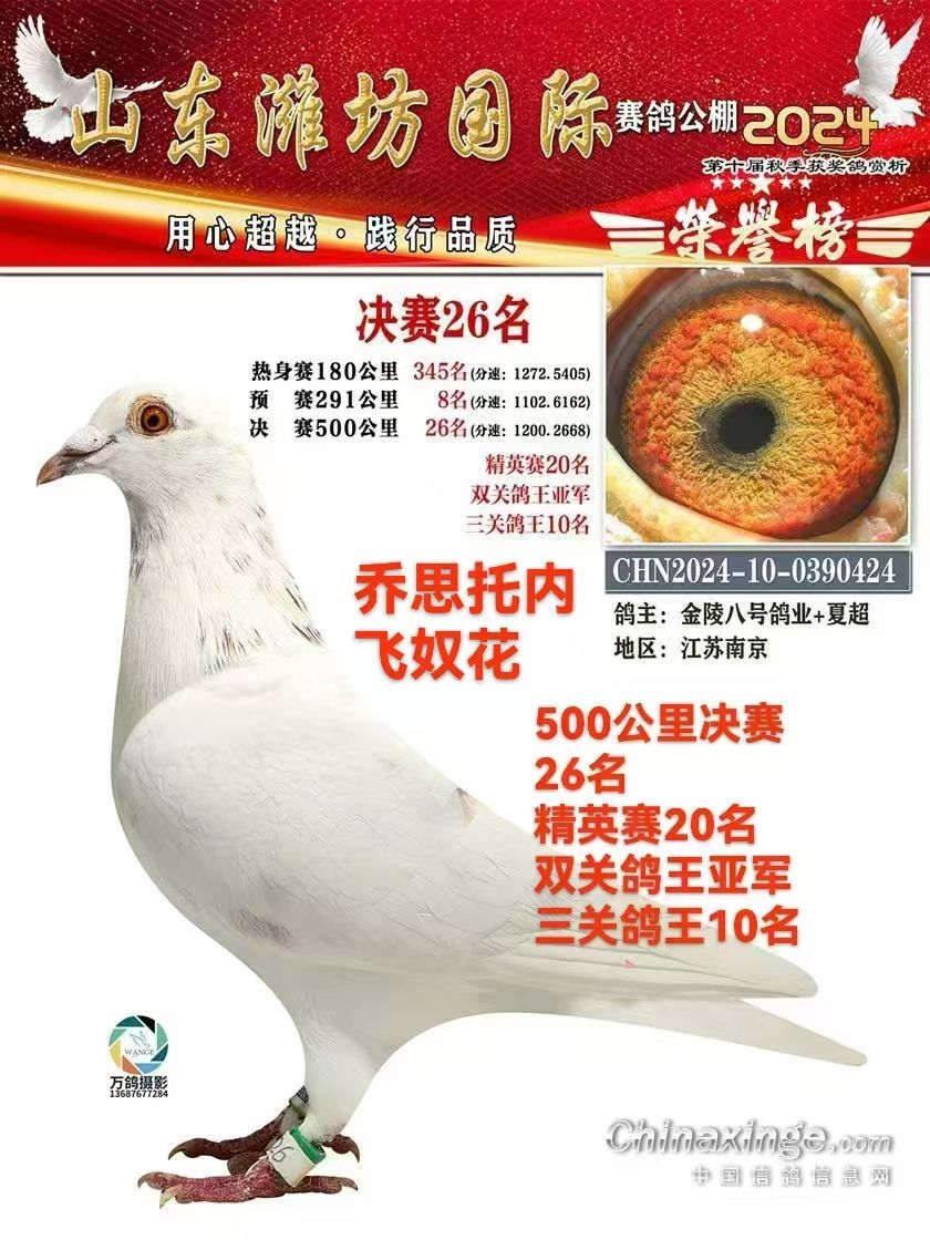 ˺2024ɽΫ񽱸3