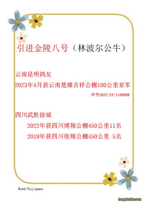 2023깫